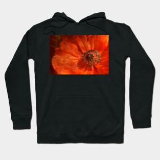 Perchance To Dream... Hoodie